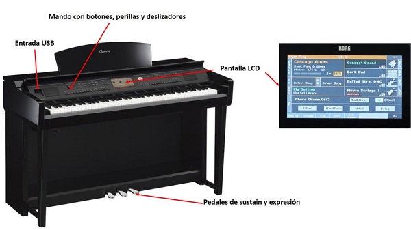 partes de un piano electronico, partes de un piano eléctrico, partes de un piano digital