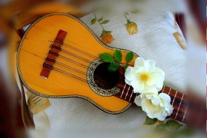 Charango