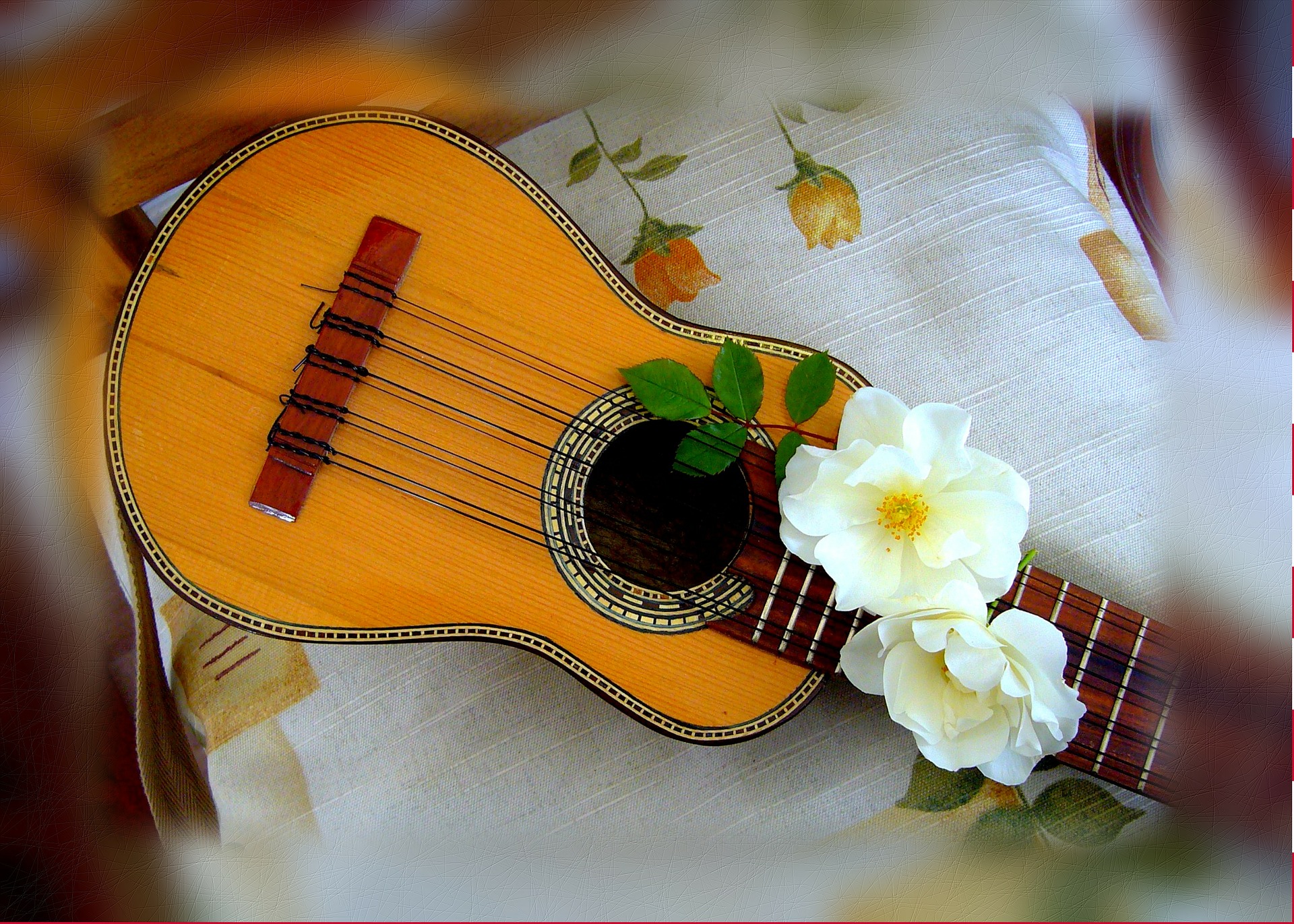 Sentido táctil horizonte silencio ▷【El Charango 】 - Que es, Tipos, Caracteristicas, Precio, Notas, Partes.