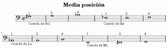 escala contrabajo, contrabajo acustico, escalas y acordes contrabajo