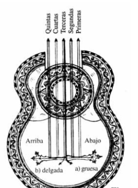 cuerdas de charango, orden de cuerdas de charango, ajustar charango