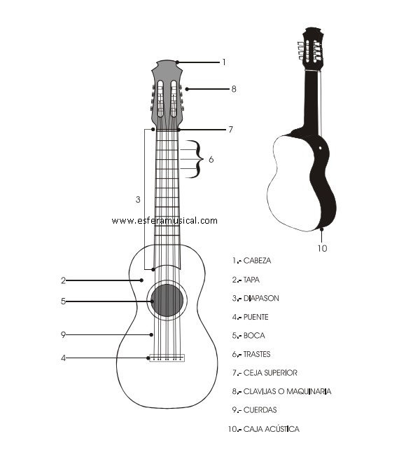 Partes Jarona Jarocha, jarona jarocha instrumento, jarona jarocha imagen, jarona jarocha dibujo