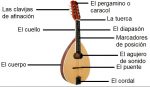partes de la mandolina, mandolina partes, mandola, bandola