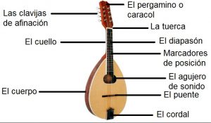 partes de la mandolina, mandolina partes, mandola, bandola