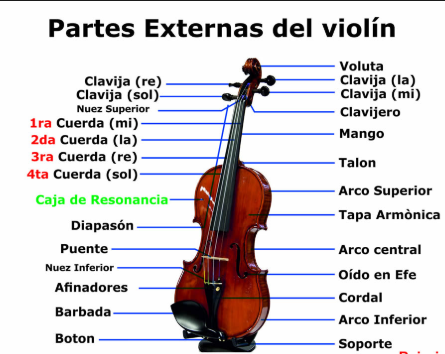 Partes del violin, tipos de violin, el violin instrumento de cuerda