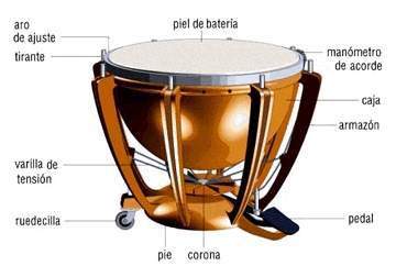 partes del timbal