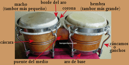 Partes de bongó, tipos de bongó, bongó de madera