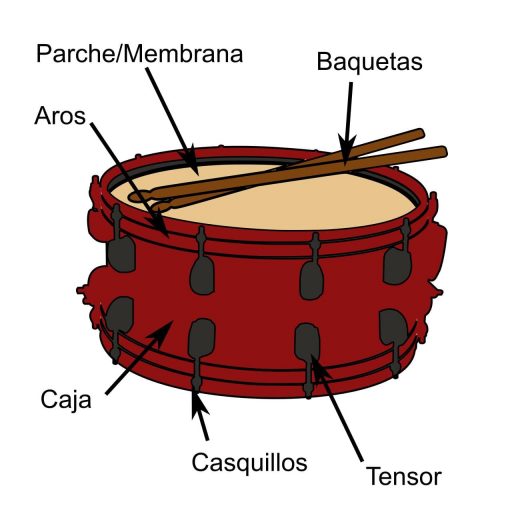 partes del tambor