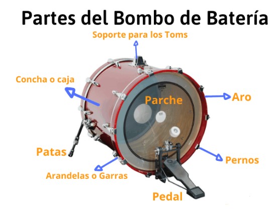 partes del bombo, partes de bombo de batería, nombres de partes de bombo musical