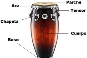 Conga con sus partes etiquetadas: parche, aro, tensor, chapeta, cuerpo y base