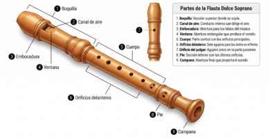 Flauta dulce soprano con sus partes principales numeradas: boquilla, canal de viento, bisel, ventana, cuerpo, orificios, pie y campana.