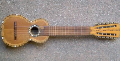 Charango boliviano de frente mostrando las cinco cuerdas dobles y el clavijero, para afinar