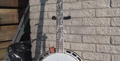 Banjo de cinco cuerdas con resonador, estilo bluegrass
