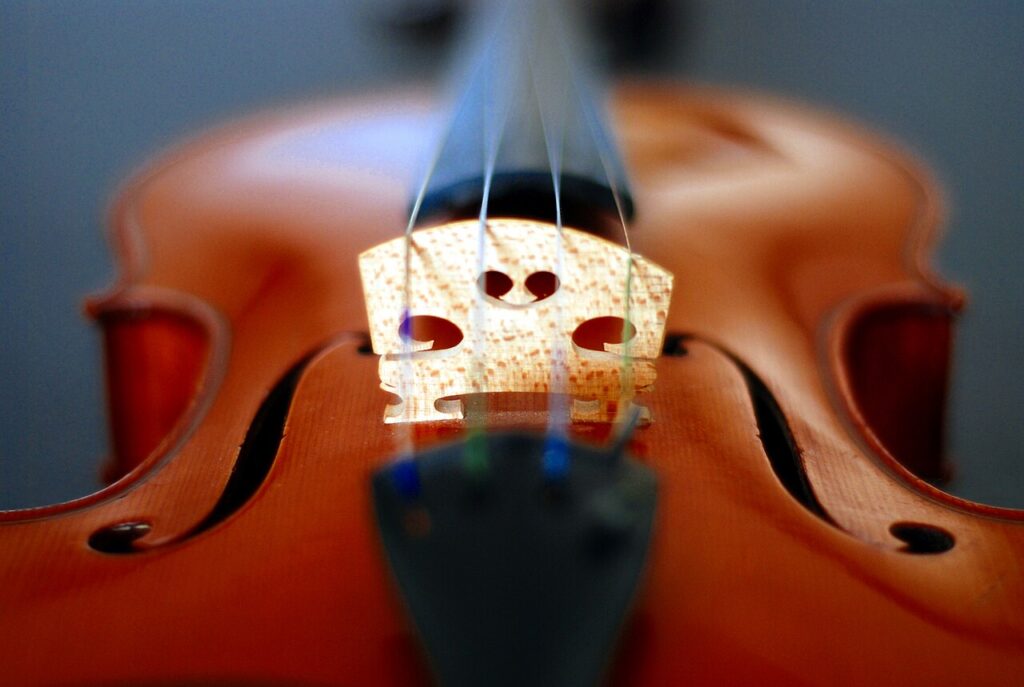 Puente, efes y cordal de un viol&iacute;n vistos desde el cordal